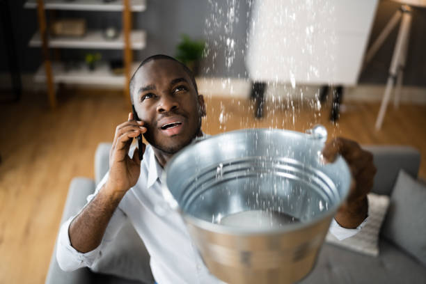 Best Basement water damage restoration  in Rock Port, MO
