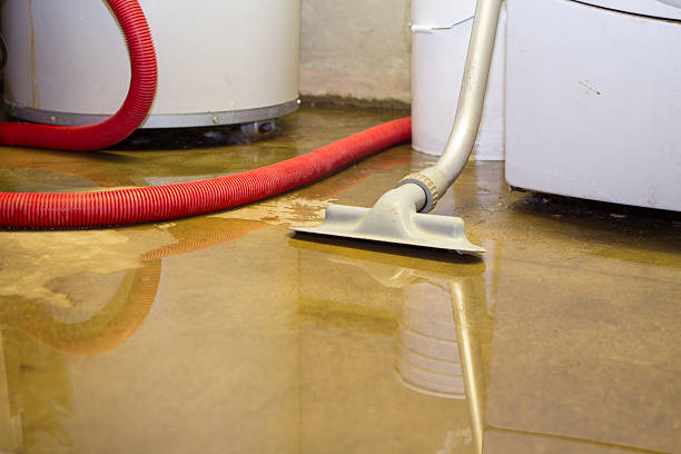 Best Local water damage restoration  in Rock Port, MO